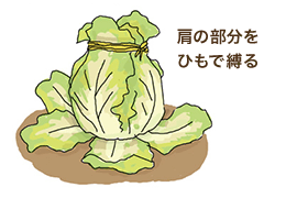 肩の部分をひもで縛る