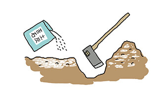 畑の準備　苦土石灰をまいて深く耕す