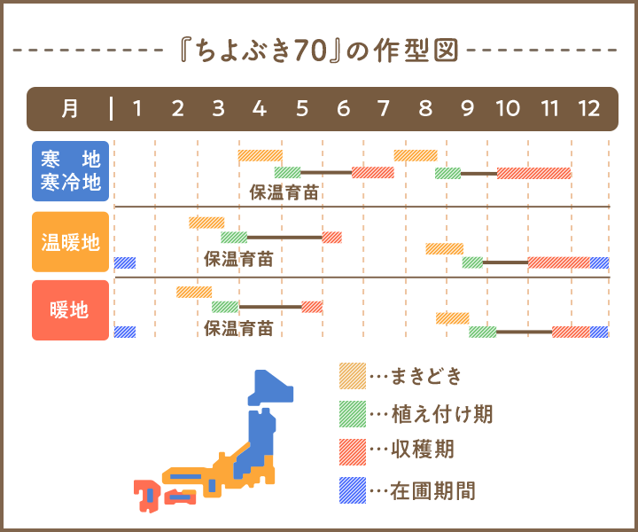 『ちよぶき70』の作型図