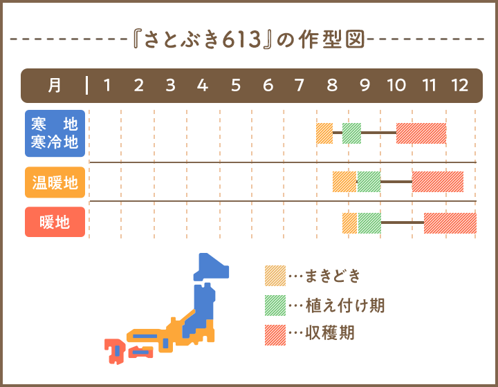 『さとぶき613』の作型図