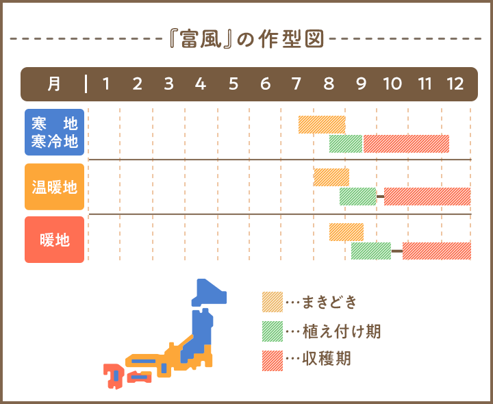 『富風』の作型図