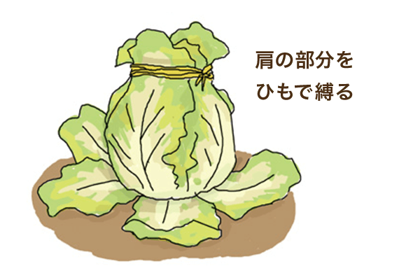 肩の部分をひもで縛る