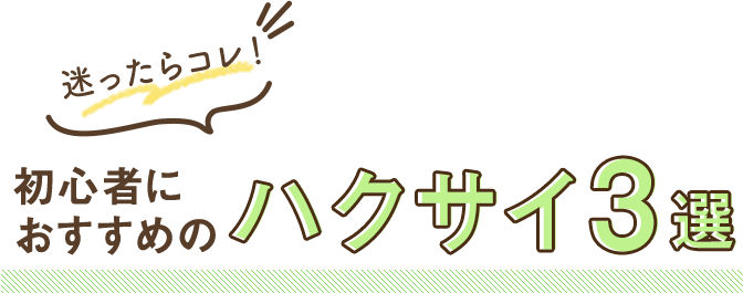 迷ったらコレ！初心者におすすめのハクサイ3選