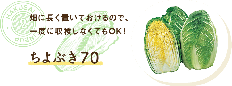 畑に長く置いておけるので、一度に収穫しなくてもok！ちよぶき70