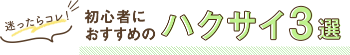 迷ったらコレ！初心者におすすめのハクサイ3選