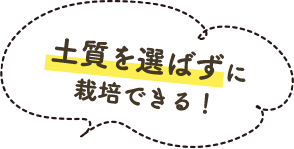 土質を選ばずに栽培できる！