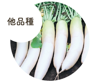 他品種