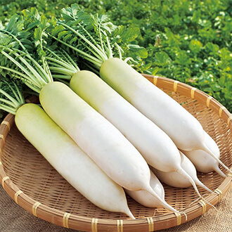 味自慢 冬しぐれ