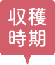 収穫時期