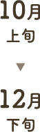 10月上旬から12月下旬