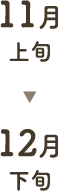 11月上旬から12月下旬