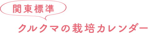 関東標準 クルクマの栽培カレンダー