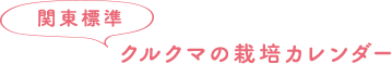 関東標準 クルクマの栽培カレンダー