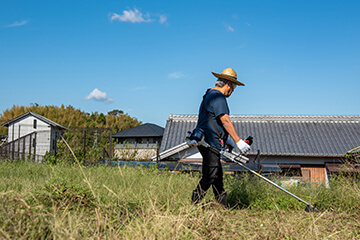 アワノメイガの避難場所を作らない!!