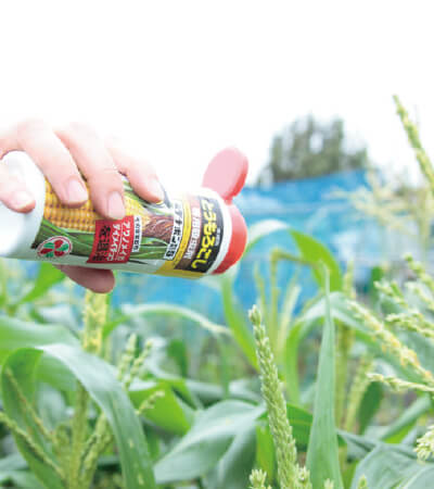 雄穂が出始めたときに