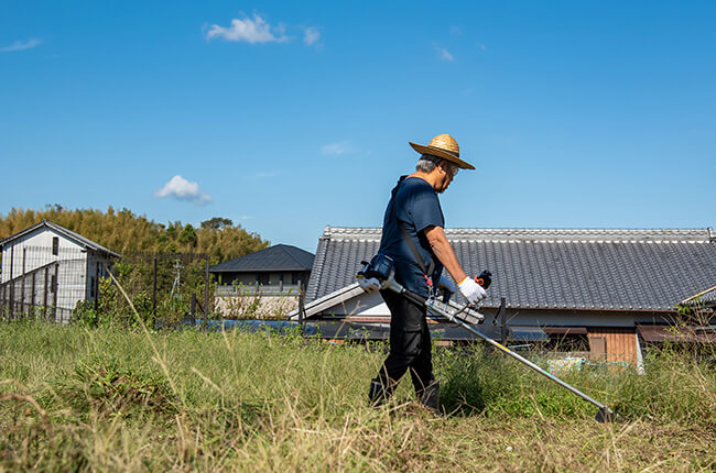 アワノメイガの避難場所を作らない!!