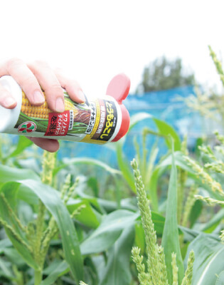 雄穂が出始めたときに