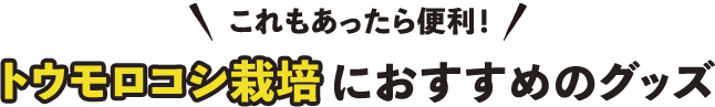 これもあったら便利！トウモロコシ栽培におすすめのグッズ