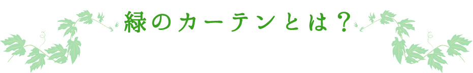 緑のカーテンの作り方