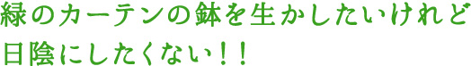 緑のカーテンの鉢を生かしたいけれど日陰にしたくない！！