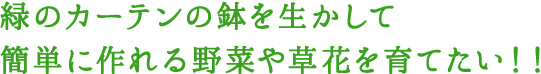緑のカーテンの鉢を生かして簡単に作れる野菜や花を育てたい！！