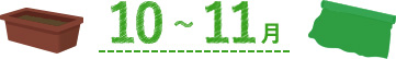 10月～11月