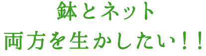 鉢とネット両方を生かしたい！！