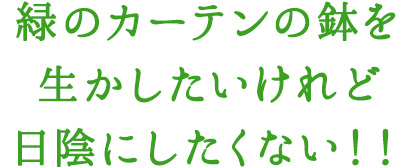緑のカーテンの鉢を生かしたいけれど日陰にしたくない！！