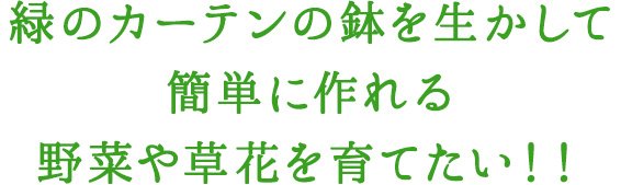 緑のカーテンの鉢を生かして簡単に作れる野菜や花を育てたい！！