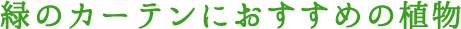 緑のカーテンにおすすめの植物
