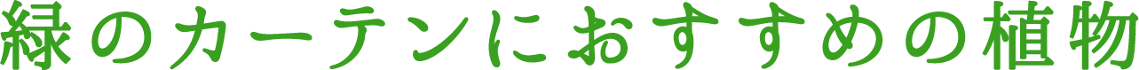 緑のカーテンにおすすめの植物