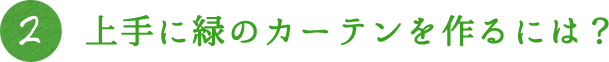 2.上手に緑のカーテンを作るには？