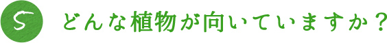 5.どんな植物が向いていますか？