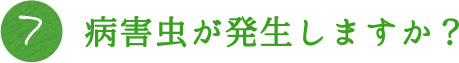 7.病害虫が発生しますか？