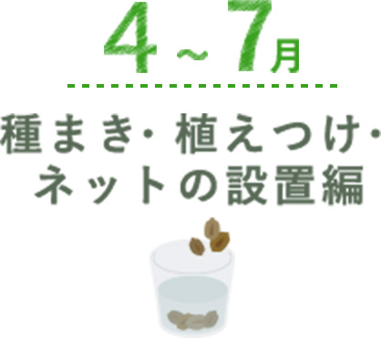 4月~7月 種まき・植え付け・ネットの設置編