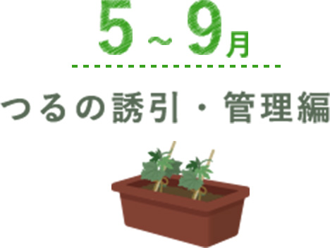 5月~9月 つるの誘引・管理編