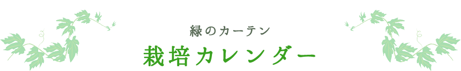 緑のカーテン 栽培カレンダー