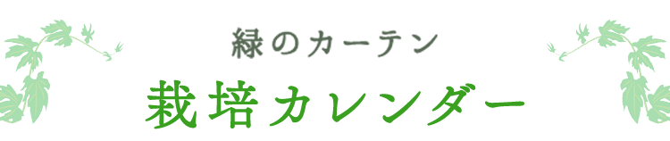 緑のカーテン 栽培カレンダー