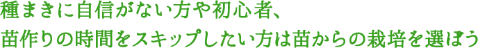 種まきに自信がない方や初心者、苗作りの時間をスキップしたい方は苗を選ぼう