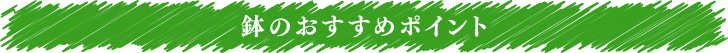 鉢のおすすめポイント