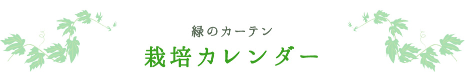 緑のカーテンの作り方