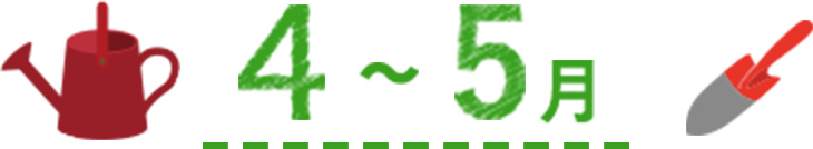 4~5月