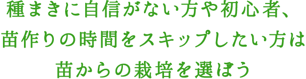 種まきに自信がない方や初心者、苗作りの時間をスキップしたい方は苗を選ぼう