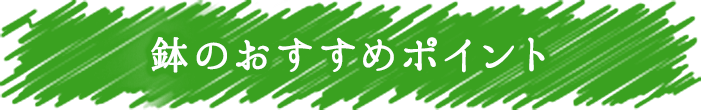 鉢のおすすめポイント