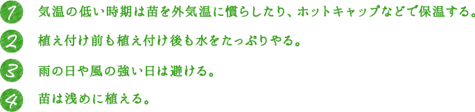 1.気温の低い時期は苗を外気温に慣らしたり、ホットキャップなどで保温する。 2.植え付け前も植え付け後も水をたっぷりやる。 3.雨の日や風の強い日は避ける。 4.苗は浅めに植える。