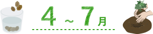4~7月