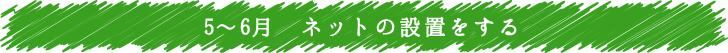 5～6月　ネットの設置をする