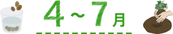 4~7月
