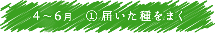 4～6月　① 届いた種をまく