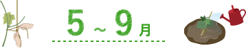 5~9月